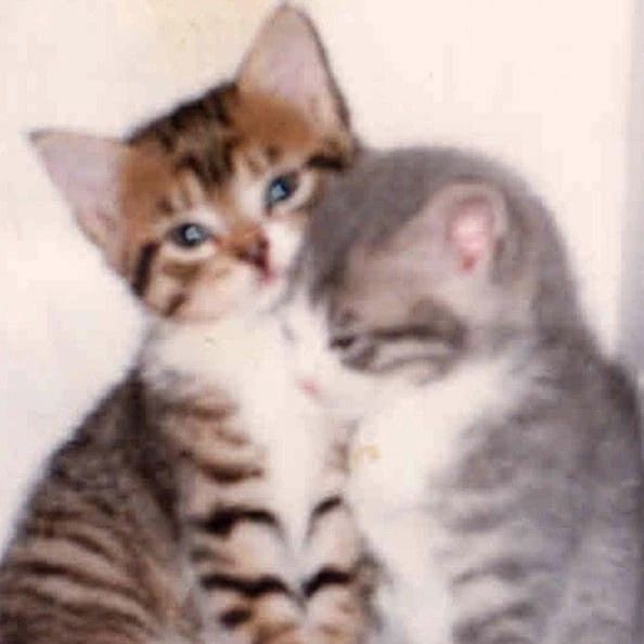 صورة جميلة
